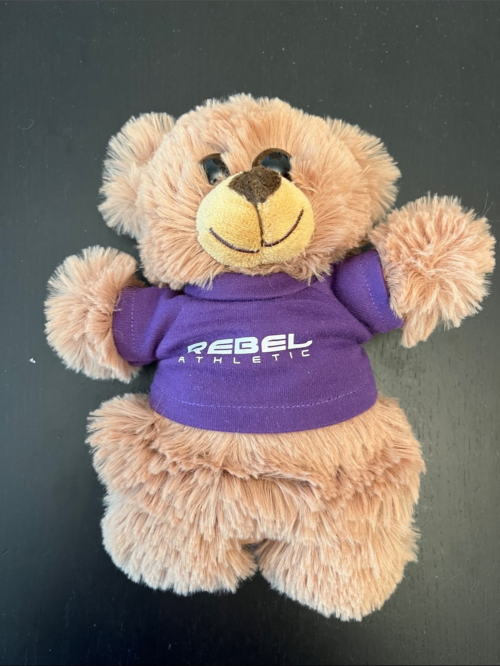 Rebel Athletic Brown Plush Bear